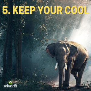 5. Keep your cool