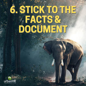 6. Stick to the facts & document
