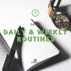 Daily & Weekly Routines